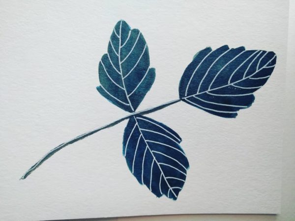 Poison ivy, prompt 1of